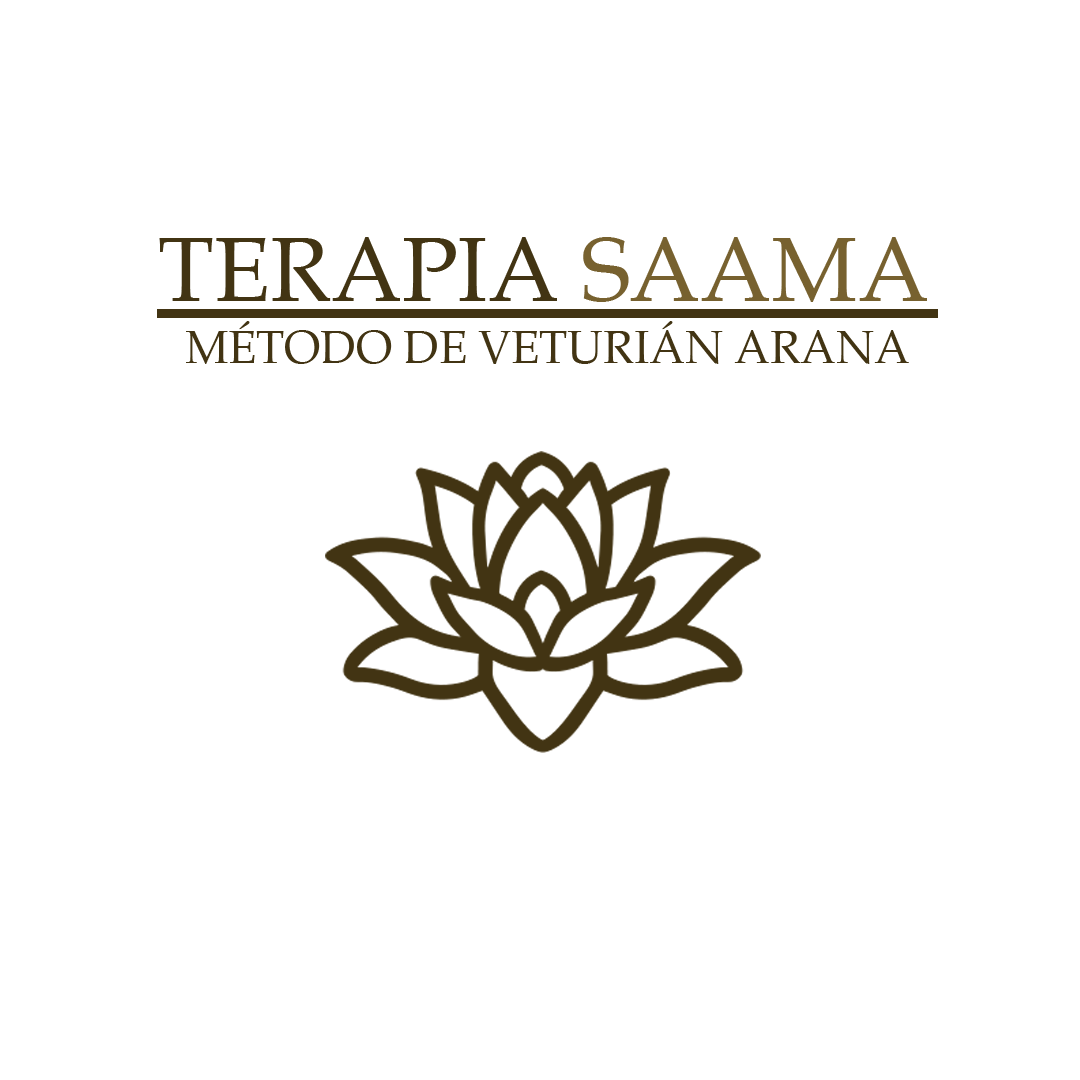 Logo terapia saama