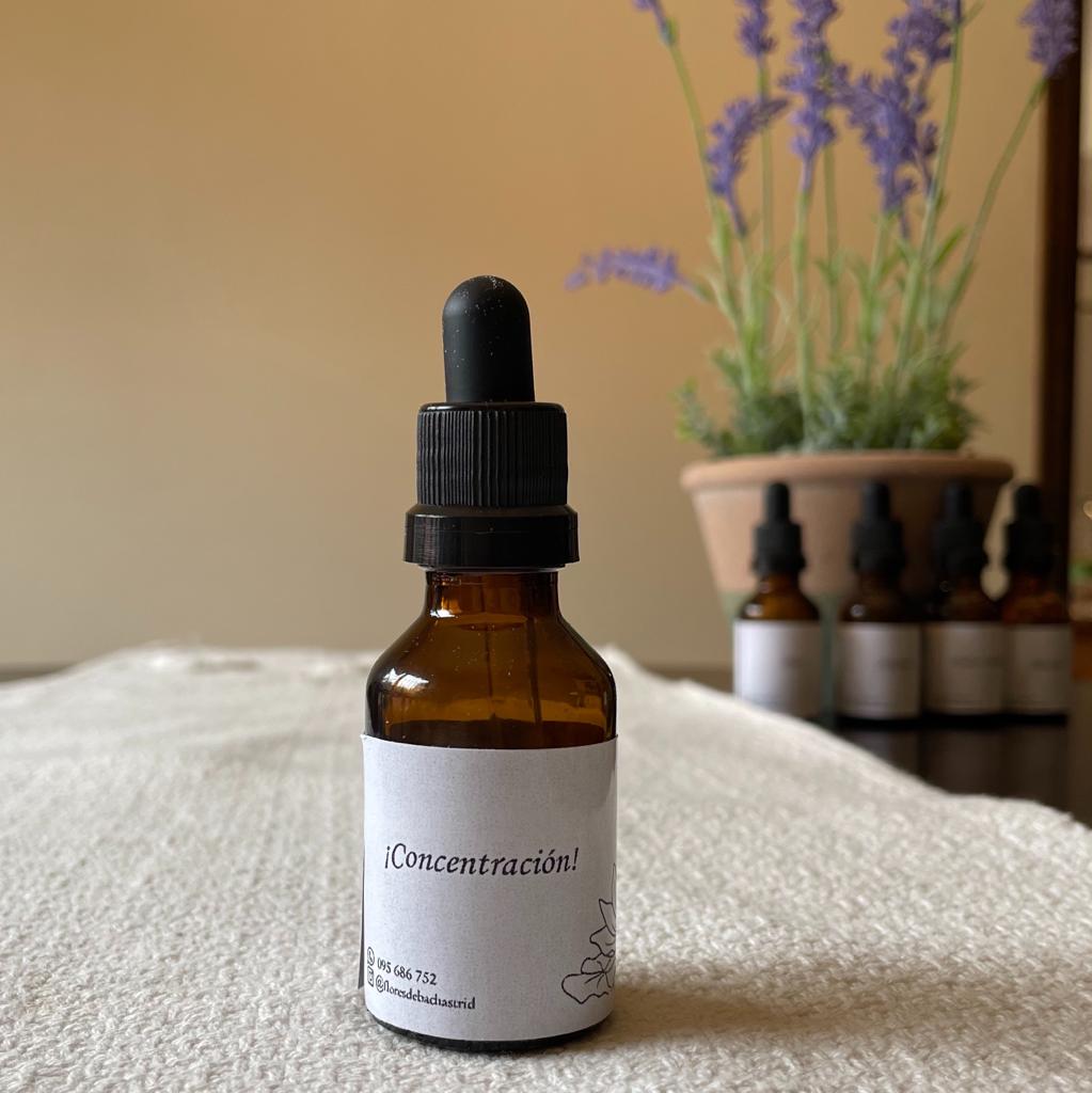 Floral Express - Concentración