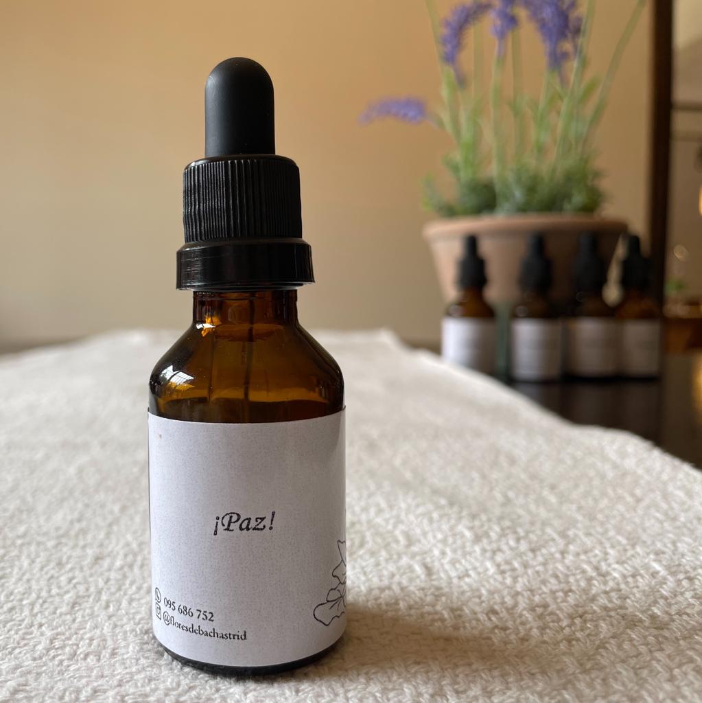 Floral Express - Paz